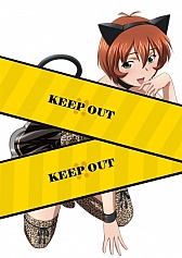 ꡼ No.009Υͥ / ֥֥饦쵳סȥͥߥƮΡɤָǥȡо