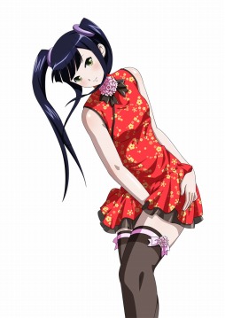 画像ギャラリー No.008のサムネイル画像 / 「ブラウザ一騎当千 爆乳争覇伝」，チャイナドレス闘士が期間限定で登場