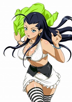 画像ギャラリー No.005のサムネイル画像 / 「ブラウザ一騎当千 爆乳争覇伝」,期間限定の「アイドル水着闘士」を追加