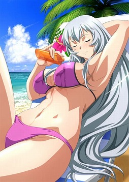 画像ギャラリー No.011のサムネイル画像 / 「ブラウザ一騎当千 爆乳争覇伝」,期間限定の「アイドル水着闘士」を追加