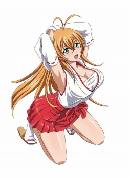 画像ギャラリー No.005のサムネイル画像 / 「ブラウザ一騎当千 爆乳争覇伝」，お得な「ステップアップトーシダス煌」が登場