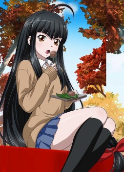 画像ギャラリー No.012のサムネイル画像 / 「ブラウザ一騎当千 爆乳争覇伝」，「食欲の秋」闘士カードを10体追加