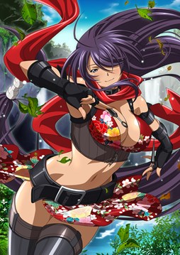 画像ギャラリー No.003のサムネイル画像 / 「ブラウザ一騎当千 爆乳争覇伝」,「忍Collection」(後半)が本日より追加