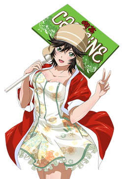 ���������꡼ No.009�Υ���ͥ������ / �֥֥饦���쵳���� �����������ס��ر�ץ�������θ���Ʈ�Υ����ɤ��о�