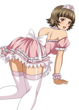 ���������꡼ No.007�Υ���ͥ������ / �֥֥饦���쵳���� �����������ס�ŵ�������ʤɸ�Ⱦ�γر��Ʈ�Τ����