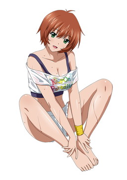 ���������꡼ No.011�Υ���ͥ������ / �֥֥饦���쵳���� �����������ס�ŵ�������ʤɸ�Ⱦ�γر��Ʈ�Τ����