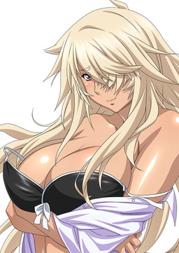 画像ギャラリー No.003のサムネイル画像 / 「ブラウザ一騎当千 爆乳争覇伝」，水着闘士カードの後半10種類が登場