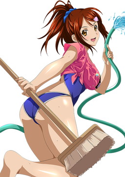 画像ギャラリー No.005のサムネイル画像 / 「ブラウザ一騎当千 爆乳争覇伝」,濡れ透け衣装の限定闘士が登場