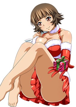 画像ギャラリー No.007のサムネイル画像 / 「ブラウザ一騎当千」，トーシダス極に「クリスマス闘士（後半）」が登場