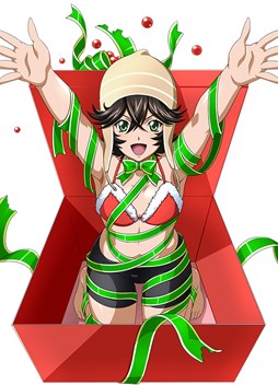 画像ギャラリー No.008のサムネイル画像 / 「ブラウザ一騎当千」，トーシダス極に「クリスマス闘士（後半）」が登場