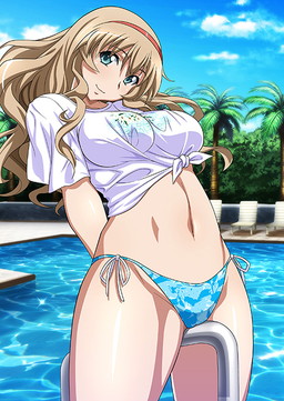 ���������꡼ No.008�Υ���ͥ������ / �֥֥饦���쵳���� �����������פˡȥ���ɥ�Ʈ�Ρ���Ⱦʬ��11�ͤ��о�