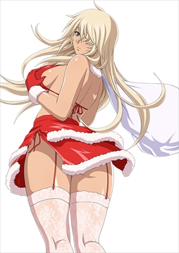 画像ギャラリー No.012のサムネイル画像 / 「ブラウザ一騎当千」，トーシダスに「クリスマス闘士（後半）」が登場