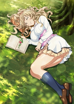 ꡼ No.004Υͥ / ֥֥饦쵳סȡˡƮΡʸȾˡפо