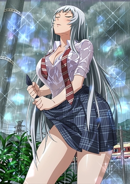 ꡼ No.005Υͥ / ֥֥饦쵳סȡˡƮΡʸȾˡפо