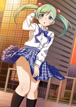 ꡼ No.006Υͥ / ֥֥饦쵳סȡˡƮΡʸȾˡפо