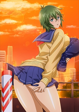 ꡼ No.008Υͥ / ֥֥饦쵳סȡˡƮΡʸȾˡפо