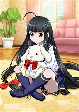 ꡼ No.010Υͥ / ֥֥饦쵳סȡˡƮΡʸȾˡפо