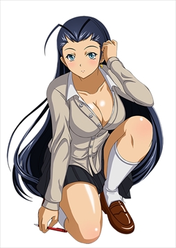 ꡼ No.012Υͥ / ֥֥饦쵳סȡˡƮΡʸȾˡפо