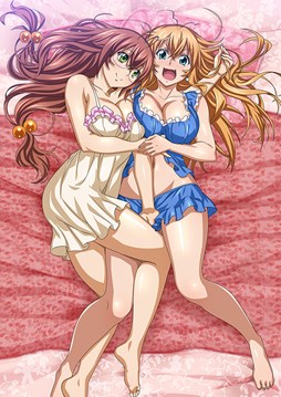 ꡼ No.004 | ֥֥饦쵳סȡˡ֥Х󥿥ƮΡȾˡפо