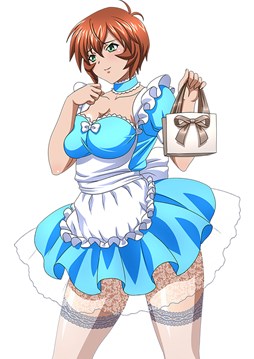 ꡼ No.011 | ֥֥饦쵳סȡˡ֥Х󥿥ƮΡȾˡפо