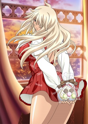 画像ギャラリー No.012のサムネイル画像 / 「ブラウザ一騎当千 爆乳争覇伝」バレンタイン闘士(前半)がトーシダス極に登場