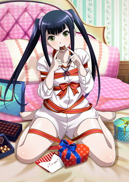 ꡼ No.011 | ֥֥饦쵳 פ˥Х󥿥ƮΤθȾо