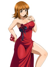 ꡼ No.013 | ֥֥饦쵳 פ˥Х󥿥ƮΤθȾо