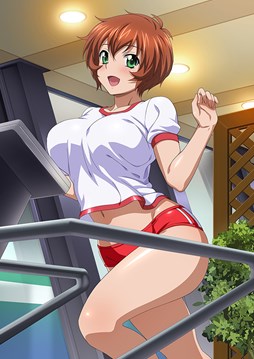 ꡼ No.007 | ֥֥饦쵳סƮΥ٥ȡ֥ޥ祳Х󥿥׳