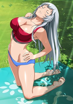 ꡼ No.009 | ֥֥饦쵳סƮΥ٥ȡ֥ޥ祳Х󥿥׳