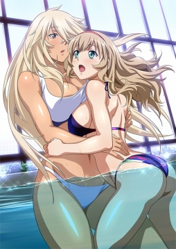 ꡼ No.001Υͥ / ֥֥饦쵳 ׿ɡ֥åƮΡʸȾˡפо