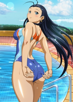 ꡼ No.005Υͥ / ֥֥饦쵳 ׿ɡ֥åƮΡʸȾˡפо