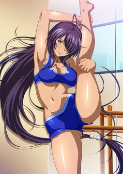 ꡼ No.006Υͥ / ֥֥饦쵳 ׿ɡ֥åƮΡʸȾˡפо