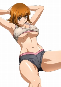 ꡼ No.008Υͥ / ֥֥饦쵳 ׿ɡ֥åƮΡʸȾˡפо