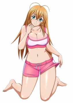 ꡼ No.011Υͥ / ֥֥饦쵳 ׿ɡ֥åƮΡʸȾˡפо