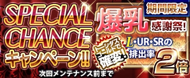 ꡼ No.013Υͥ / ֥֥饦쵳 ׿ɡ֥åƮΡʸȾˡפо