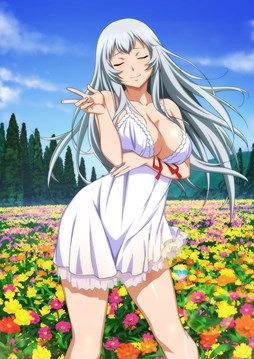 ꡼ No.009 | ֥֥饦쵳סȡˡ֥ɥƮΡȾˡפо