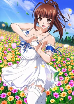 ꡼ No.008 | ֥֥饦쵳סȡˡ֥ɥƮΡʸȾˡפо