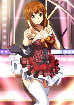 ꡼ No.013 | ֥֥饦쵳סȡˡ֥ɥƮΡʸȾˡפо