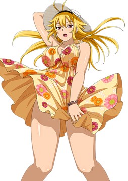 ꡼ No.015 | ֥֥饦쵳סȡˡ֥ɥƮΡʸȾˡפо