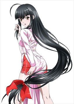 画像ギャラリー No.014のサムネイル画像 / 「ブラウザ一騎当千」,トーシダスに「旅行闘士」(後半)が登場