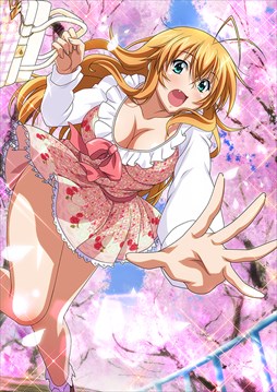 画像ギャラリー No.005のサムネイル画像 / 「ブラウザ一騎当千」,ステップアップトーシダス煌に「デート闘士(後半)」が登場