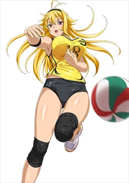 ꡼ No.013 | ֥֥饦쵳סȡˡƮΡʸȾˡפо