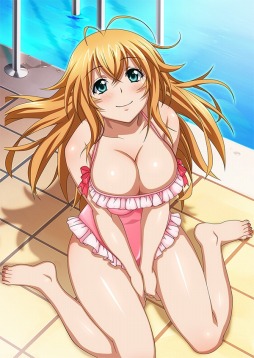 画像ギャラリー No.002のサムネイル画像 / 「ブラウザ一騎当千 爆乳争覇伝」,トーシダスに「水泳大会闘士」を11体追加