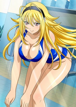 画像ギャラリー No.013のサムネイル画像 / 「ブラウザ一騎当千 爆乳争覇伝」,トーシダスに「水泳大会闘士」を11体追加