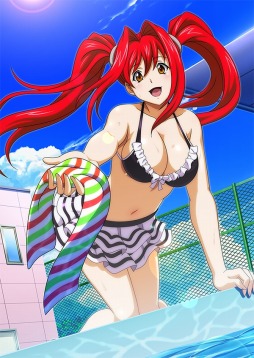 画像ギャラリー No.014のサムネイル画像 / 「ブラウザ一騎当千 爆乳争覇伝」,トーシダスに「水泳大会闘士」を11体追加