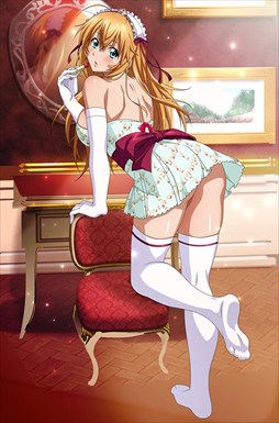 ꡼ No.005 | ֥֥饦쵳סȡˡ֥ꡦ꡼(Ⱦ)פо