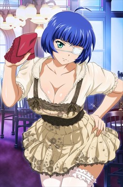 ꡼ No.006 | ֥֥饦쵳סȡˡ֥ꡦ꡼(Ⱦ)פо