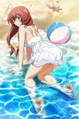 画像ギャラリー No.007のサムネイル画像 / 「ブラウザ一騎当千」に「濡れ透け闘士」11体が期間限定で登場