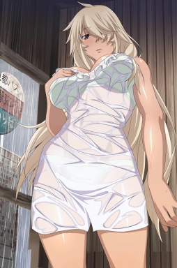 画像ギャラリー No.008のサムネイル画像 / 「ブラウザ一騎当千」に「濡れ透け闘士」11体が期間限定で登場