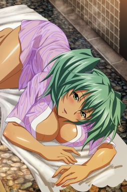 画像ギャラリー No.009のサムネイル画像 / 「ブラウザ一騎当千」に「濡れ透け闘士」11体が期間限定で登場